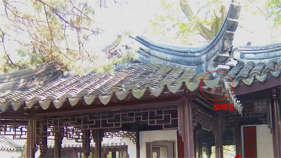 640.webp (1).png