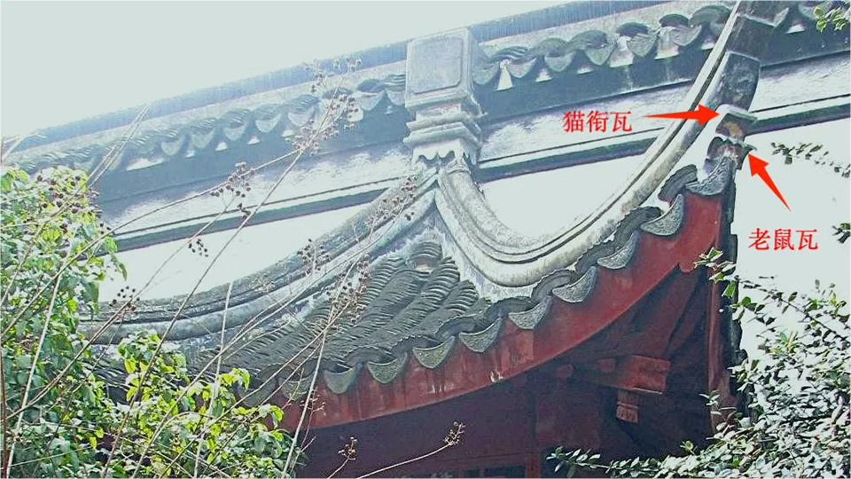 640 (1).webp.png