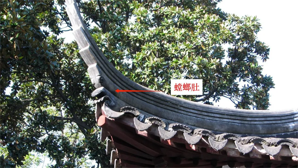 640.webp (2).png