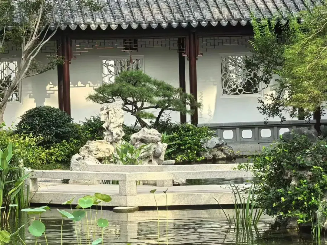 1760580800336564.png 640.webp (9).png